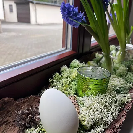 Alte Druckerei Gæstehus Quedlinburg