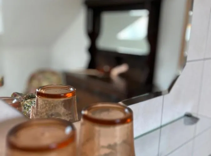 Alte Druckerei 招待所 3*