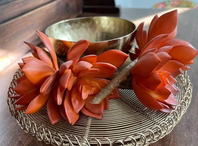 Alte Druckerei Gæstehus Quedlinburg