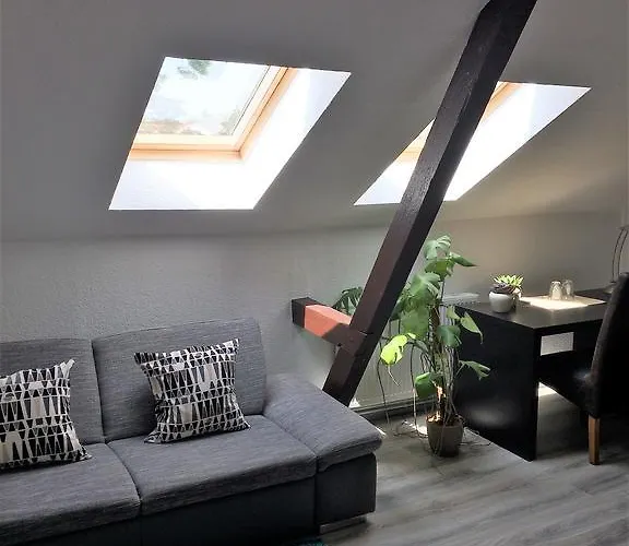 Alte Druckerei 招待所 3*